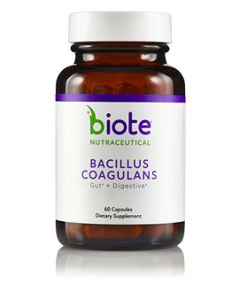 Bacillus Coagulans