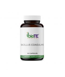 BACILLUS COAGULANS - (Single bottle)
