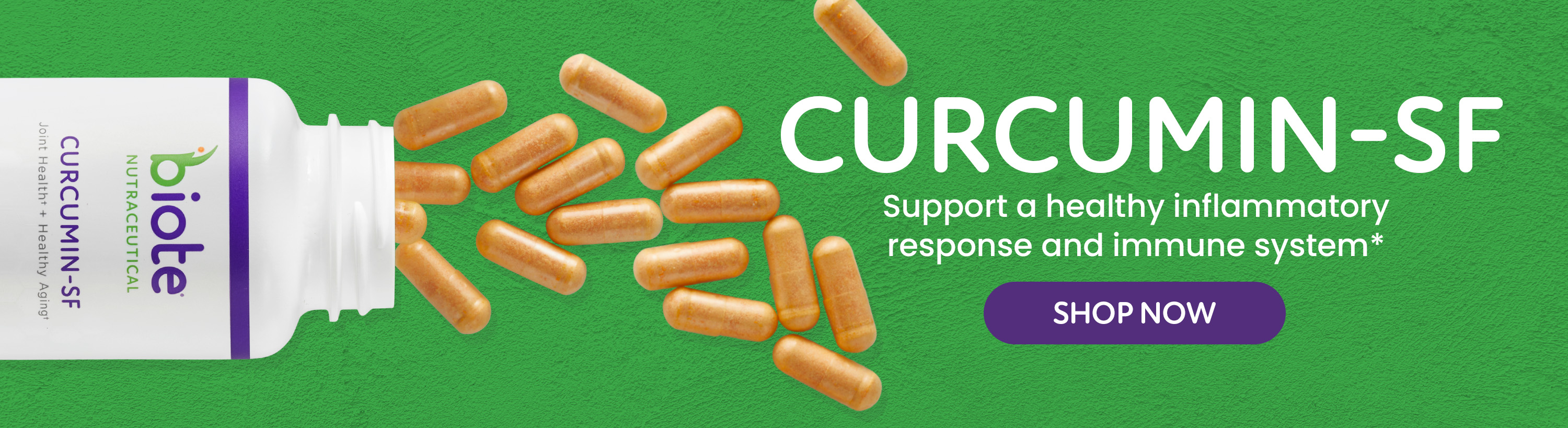 /curcumin-sf-single-bottle.html?internal_ref=slide2_nov25curc