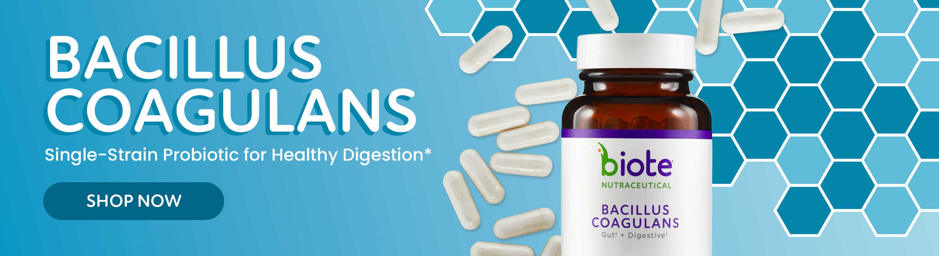 https://patients.shopbiote.com/bacillus-coagulans-single-bottle.html?internal_ref=slide2_Oct25Bacillus