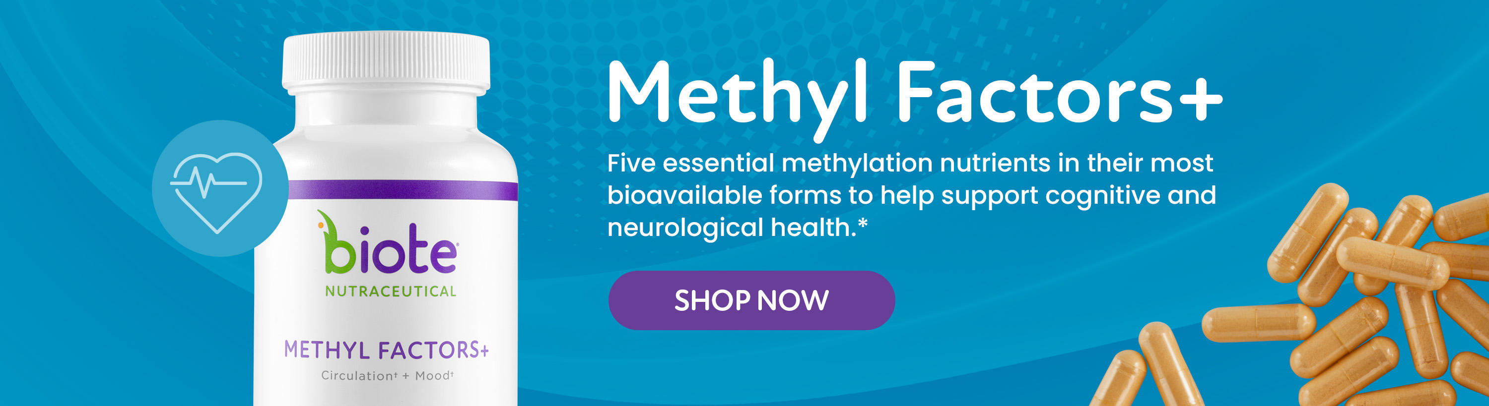 /methyl-factors-plus-single-bottle.html?internal_ref=slide2_aug25methyl