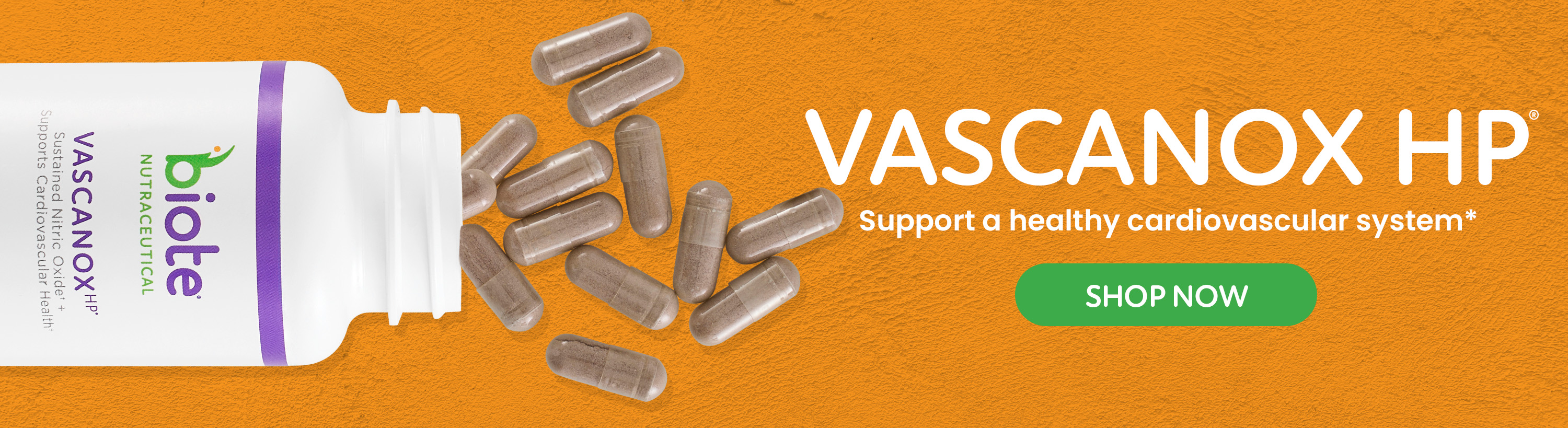 /vascanox-hp.html?internal_ref=slide3_nov25vasc